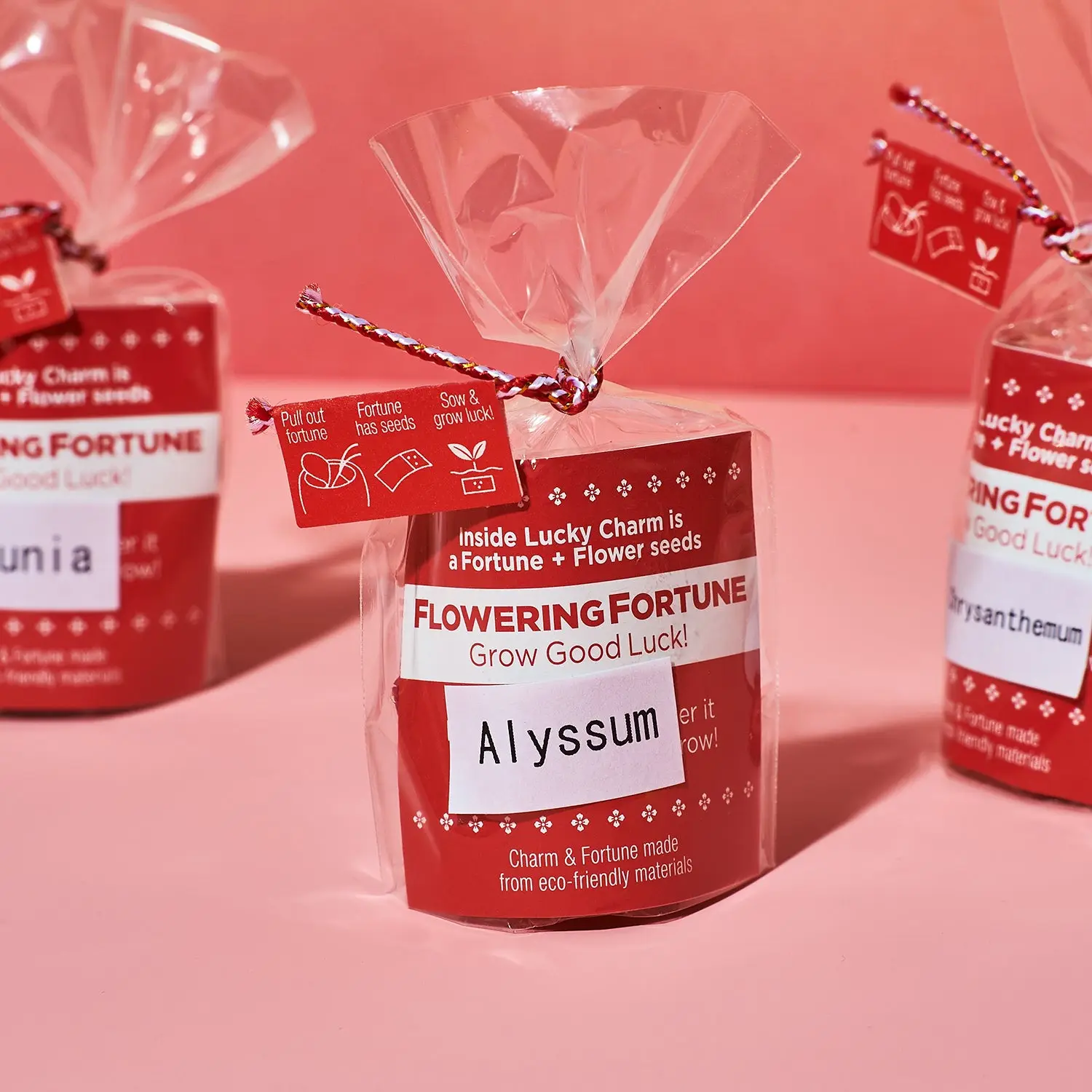 Flowering Fortunes Grow Kit - Image 10
