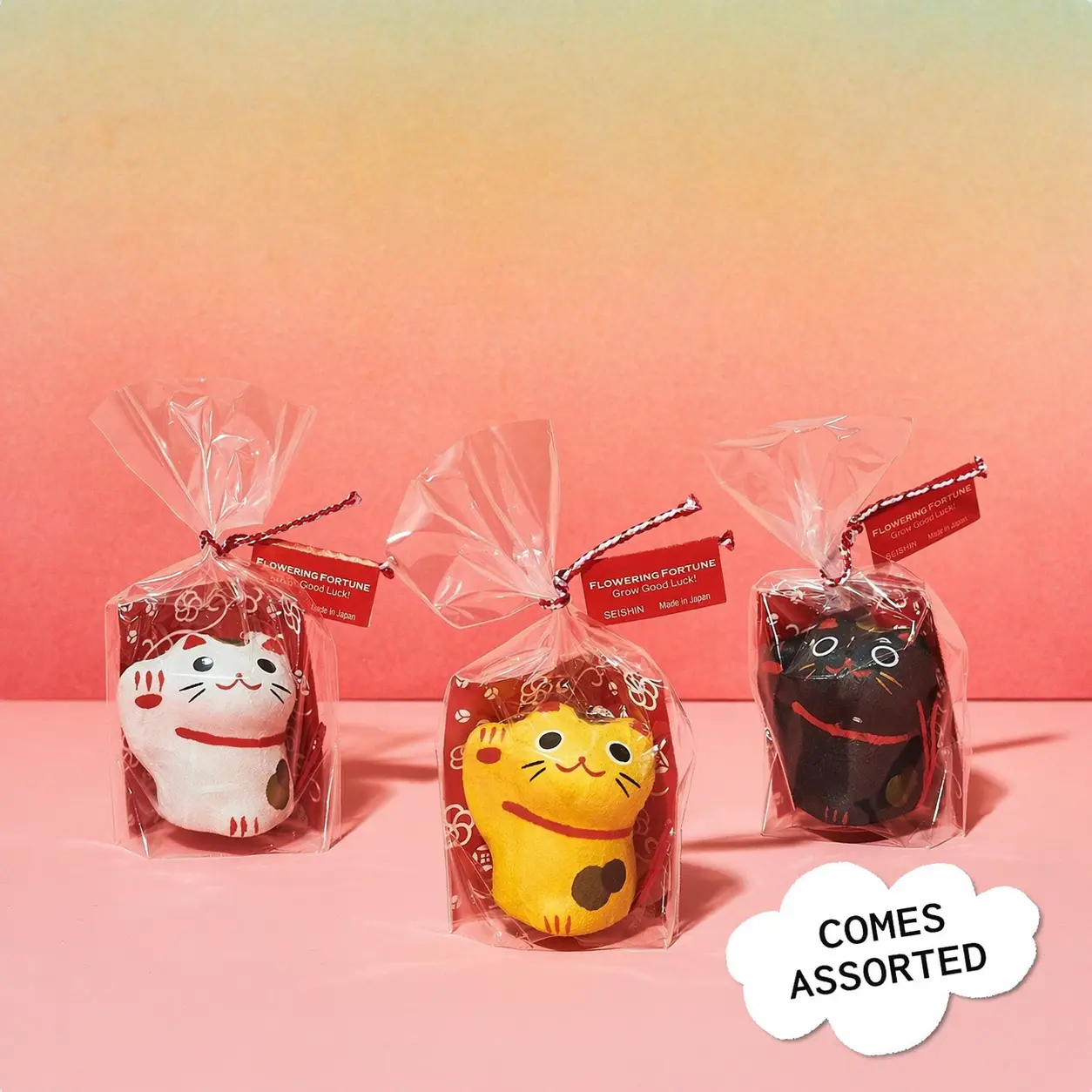 Flowering Fortunes Grow Kit - Image 2