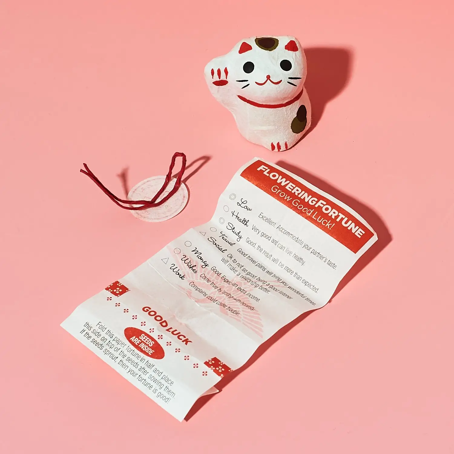 Flowering Fortunes Grow Kit - Image 3