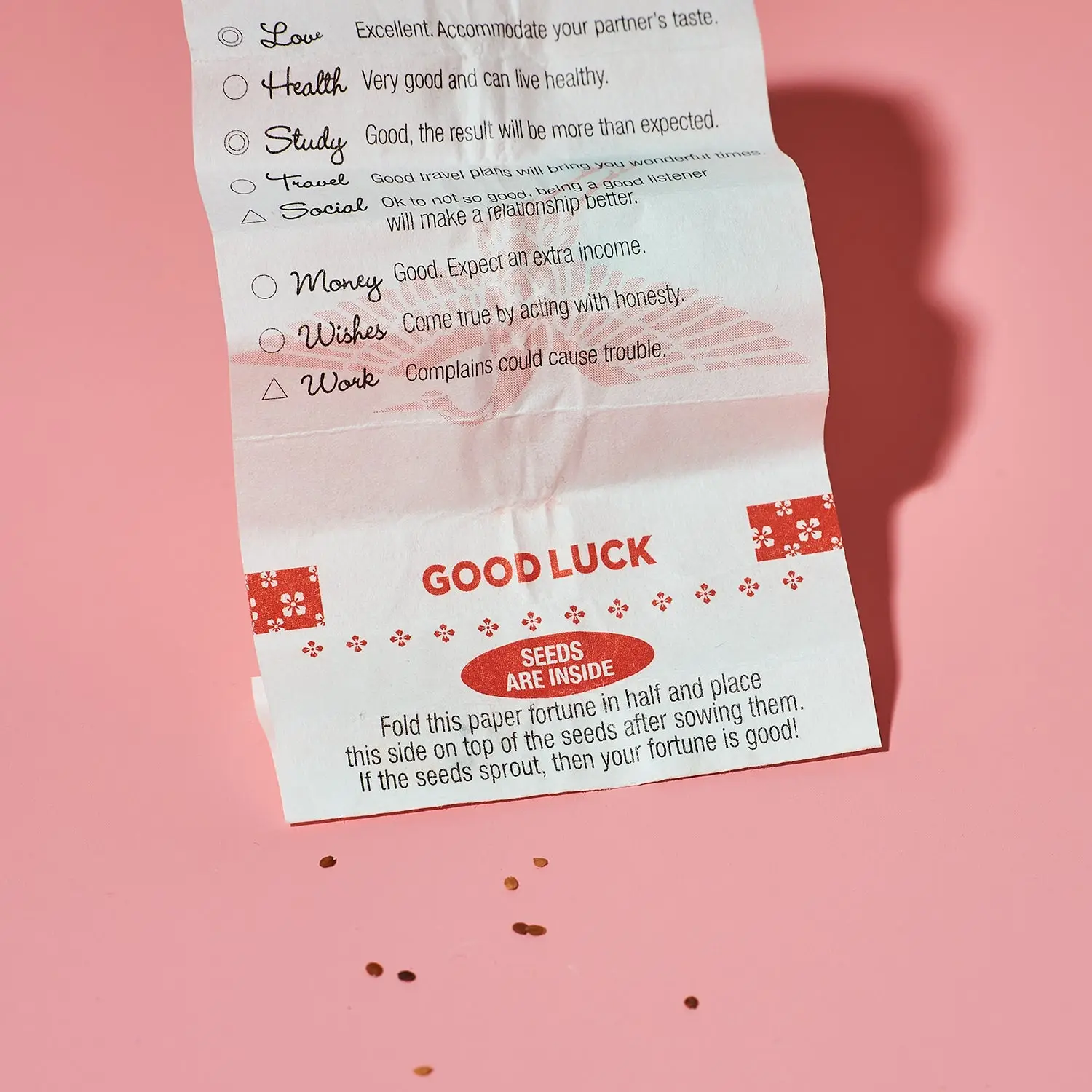 Flowering Fortunes Grow Kit - Image 4
