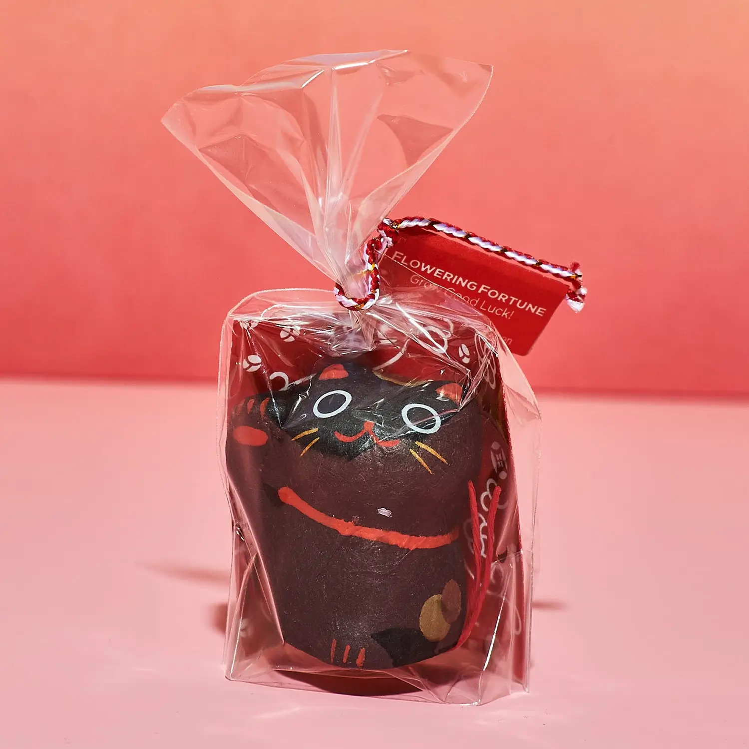 Flowering Fortunes Grow Kit - Image 7