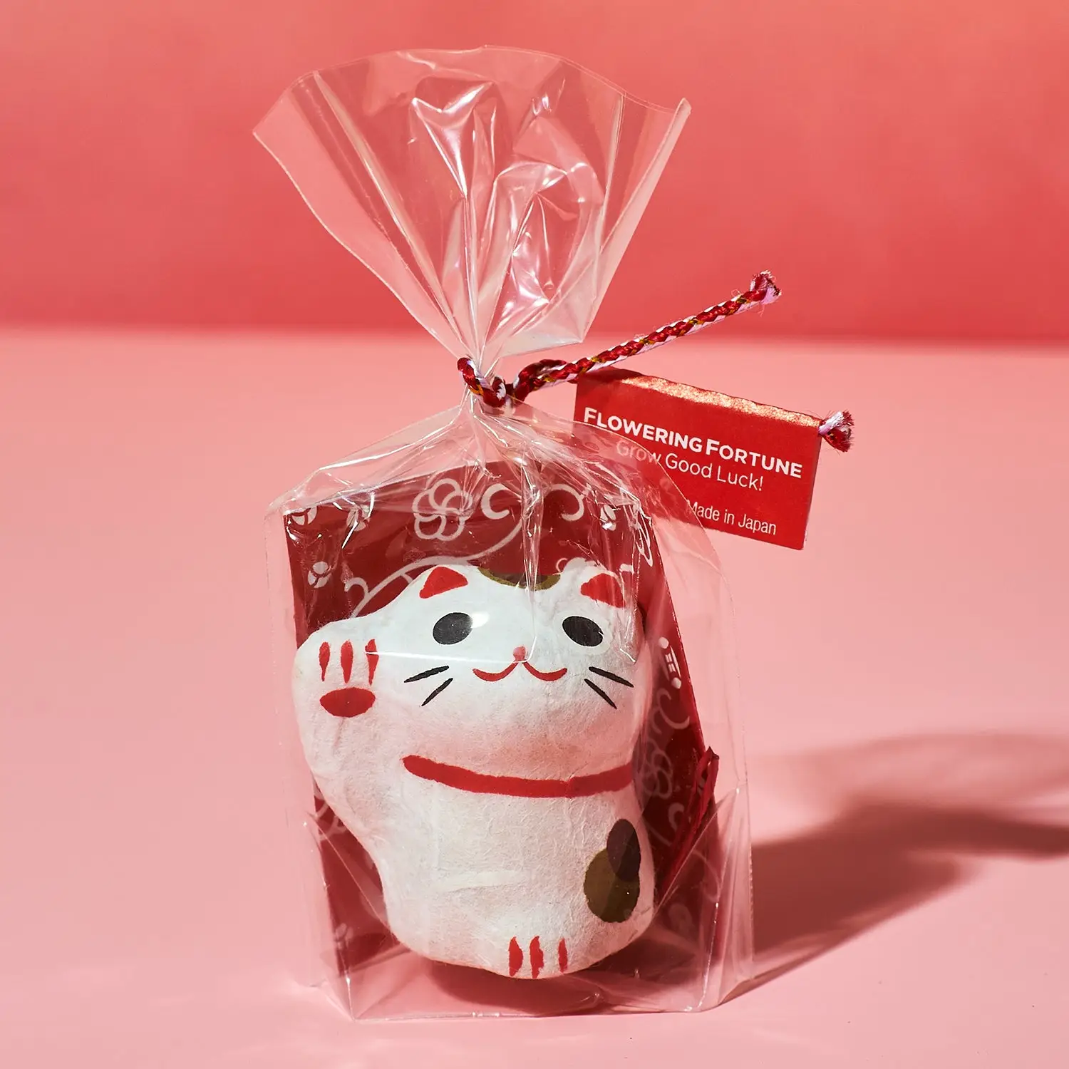 Flowering Fortunes Grow Kit - Image 8